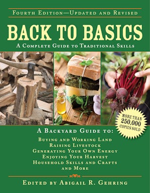 Back to Basics book image