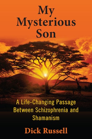 My Mysterious Son book image