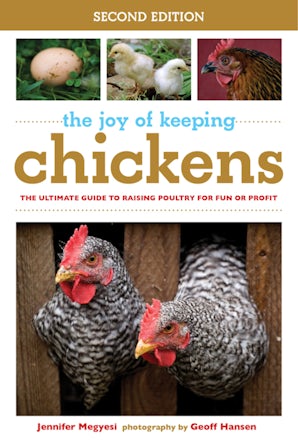 The Joy of Keeping Chickens
