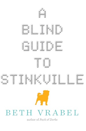 A Blind Guide to Stinkville book image