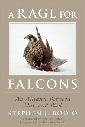 A Rage for Falcons book image