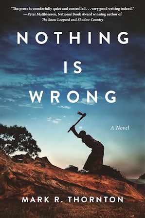 Nothing Is Wrong book image
