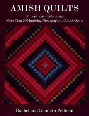 Amish Quilts book image