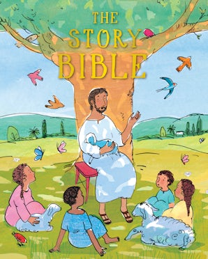 The Story Bible book image