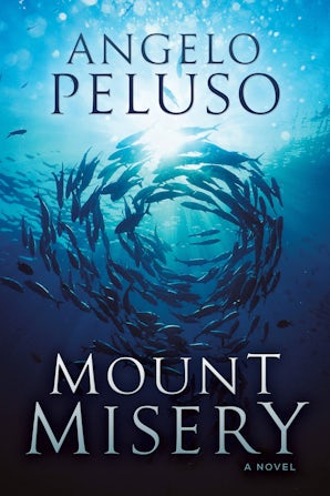 Mount Misery book image