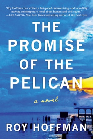 The Promise of the Pelican book image