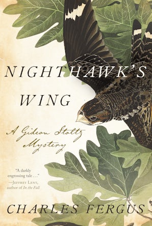 Nighthawk's Wing book image