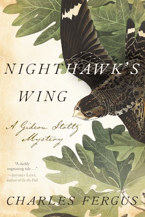 The Nighthawk feather wing